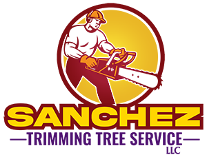 Sanchez Trimming Tree Service LLC