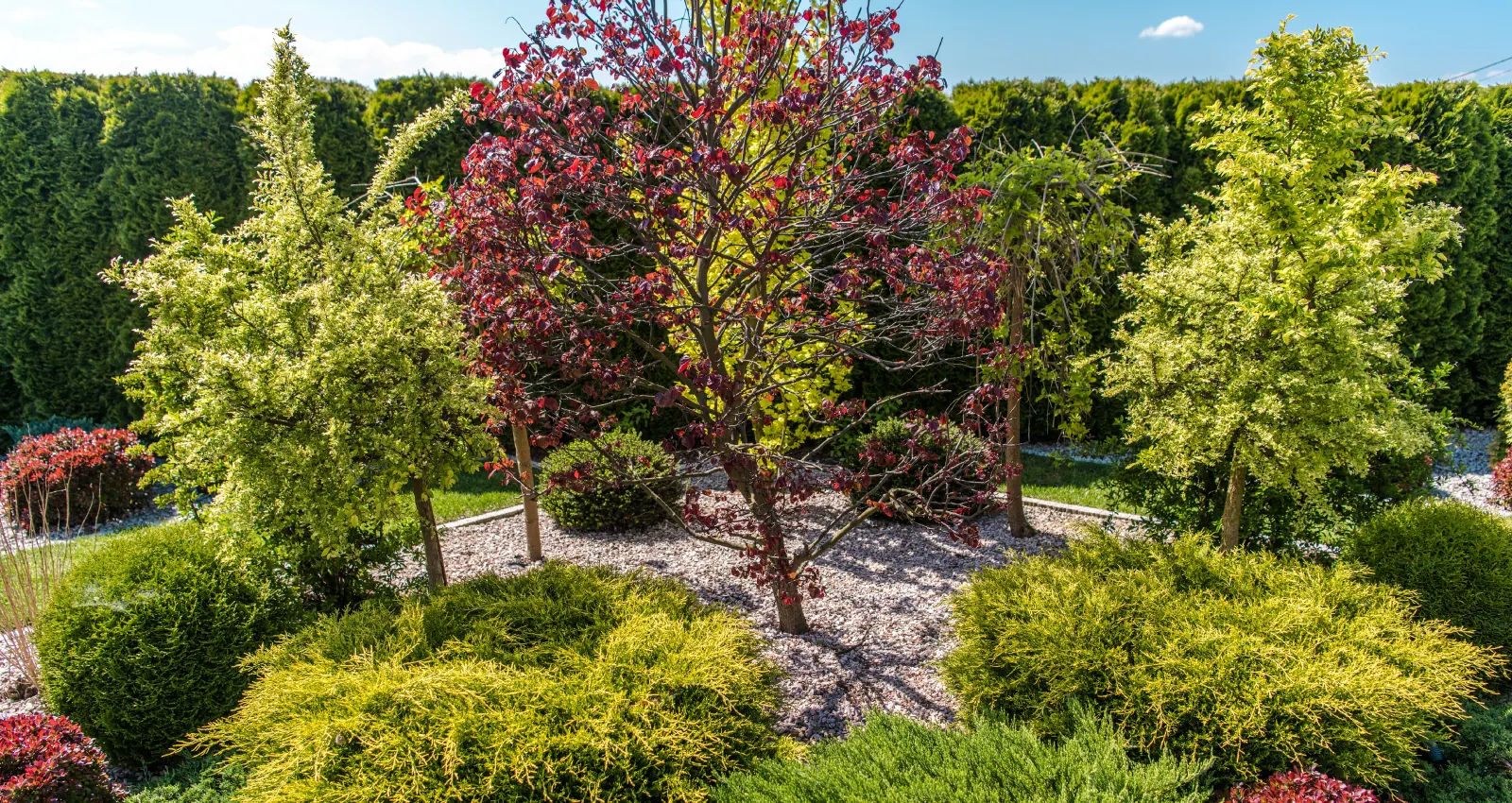 Turning Outdoor Dreams into Reality