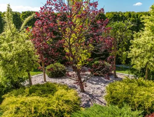 Turning Outdoor Dreams into Reality